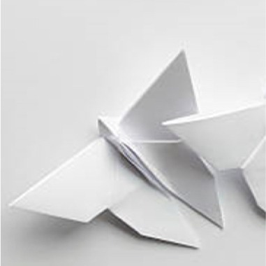 'Opening Doors to Spiritual Experience' — Recapping the Forum—Thumbnail Image