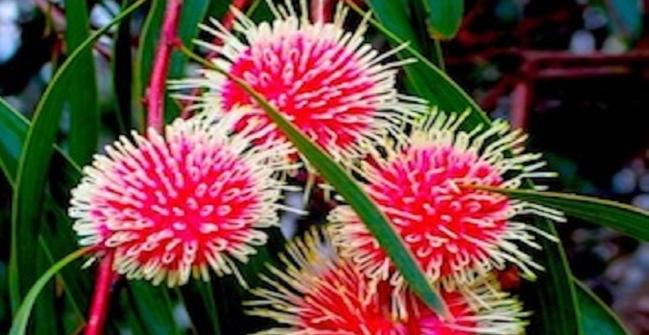 April webinar thumbnail