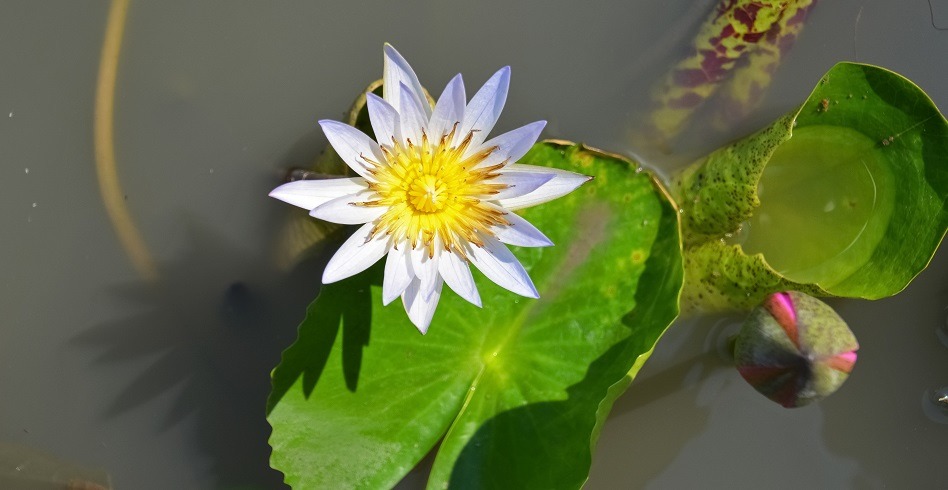 S&D October event image