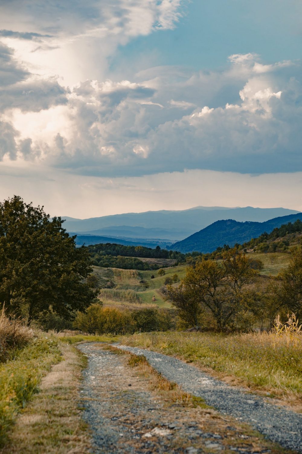 Rural & Regional approach image