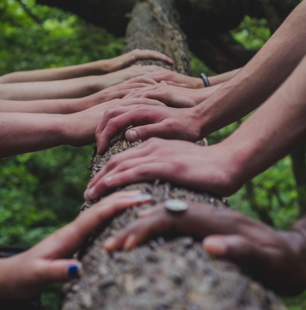 Image for campaign monitor